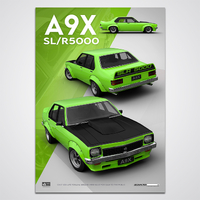 1977 Panama Green Holden LX Torana A9X SL/R5000 Limited Edition Print by Peter Hughes